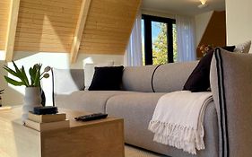 Cabana A-Frame Cricov 9