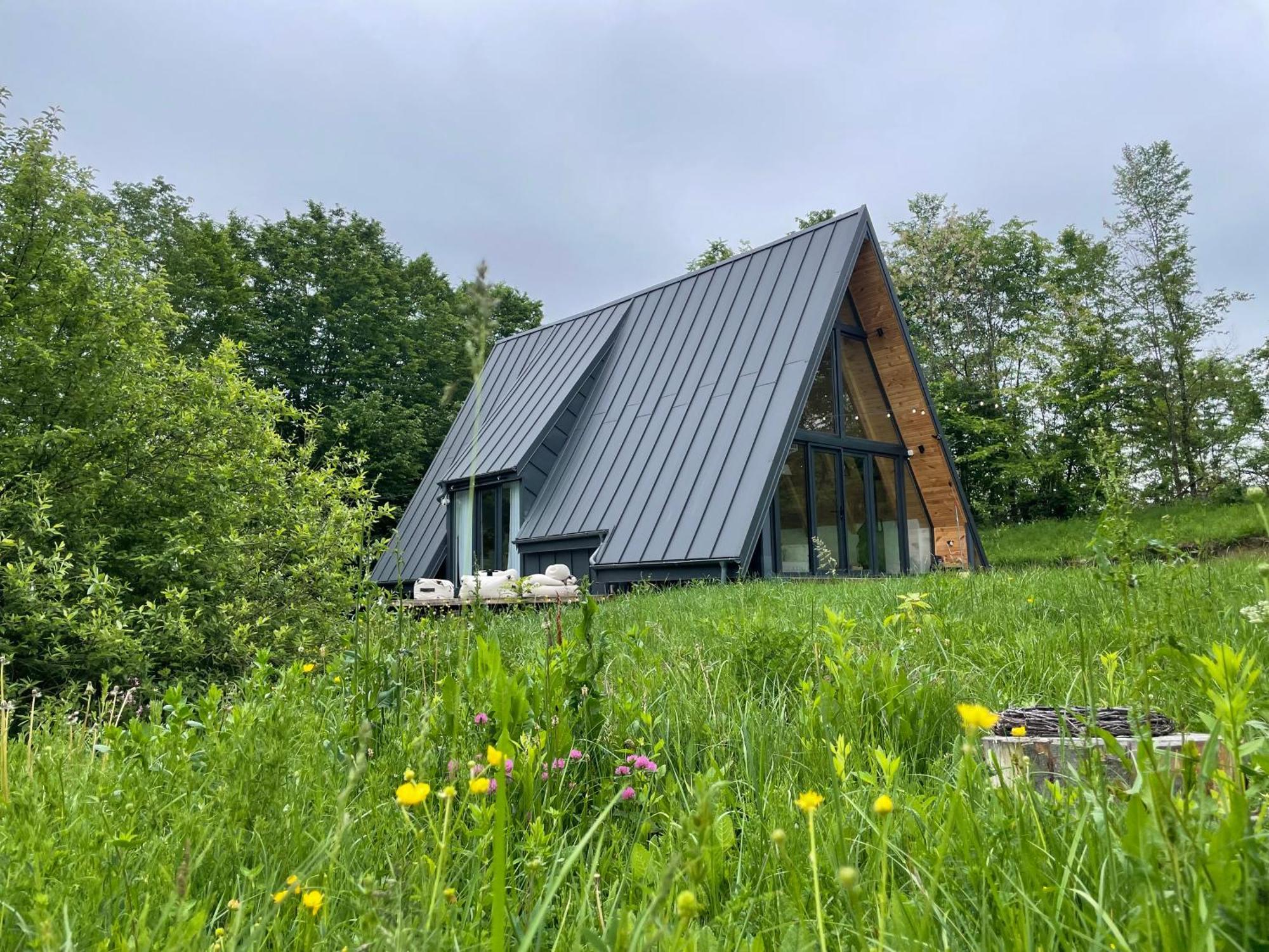 Cabana A-Frame Cricov 9 Valea Lunga-Ogrea Exterior foto